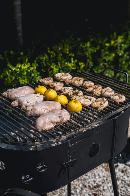 Barbacoa Fogonero Francis Ovalado Parrilla leña y carbon Portatil Desmontable Brasero Artesanal Diseño Argentino
